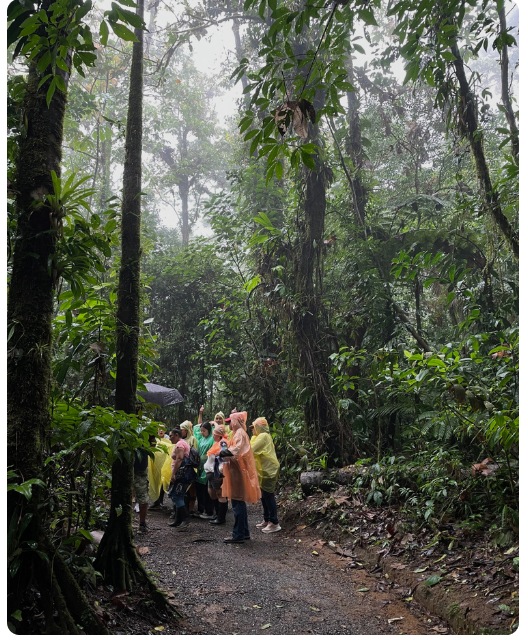 ForestLab